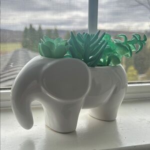 White Elephant Planter with Green Succulents